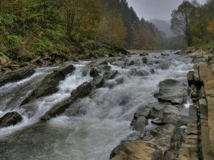 Rezerwat Sine Wiry